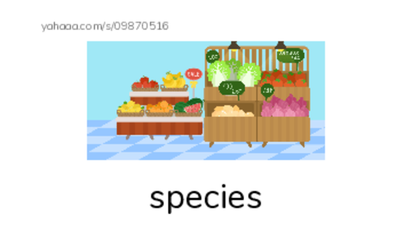 RAZ Vocabulary O: Looking for Bigfoot2 PDF index cards with images