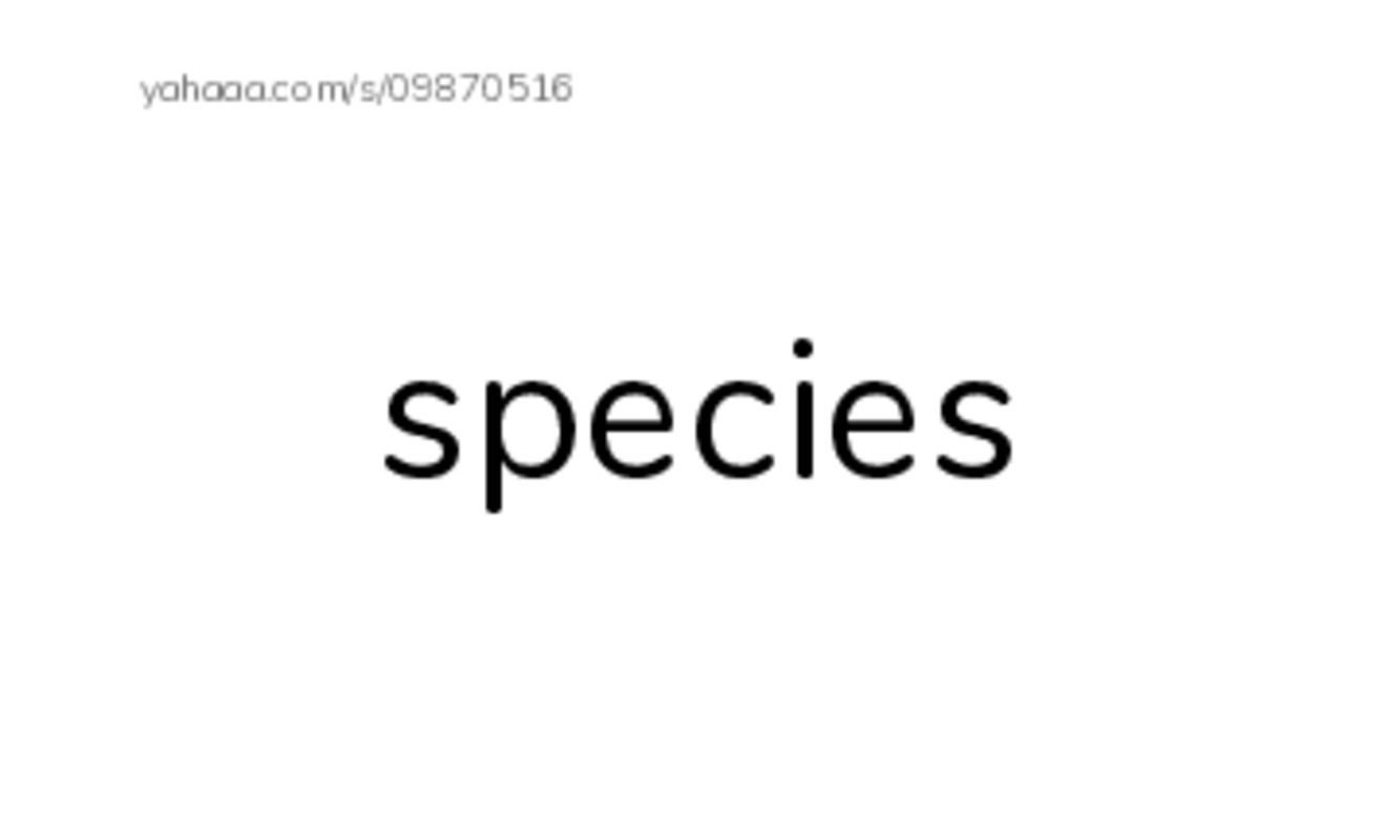 RAZ Vocabulary O: Looking for Bigfoot2 PDF index cards word only