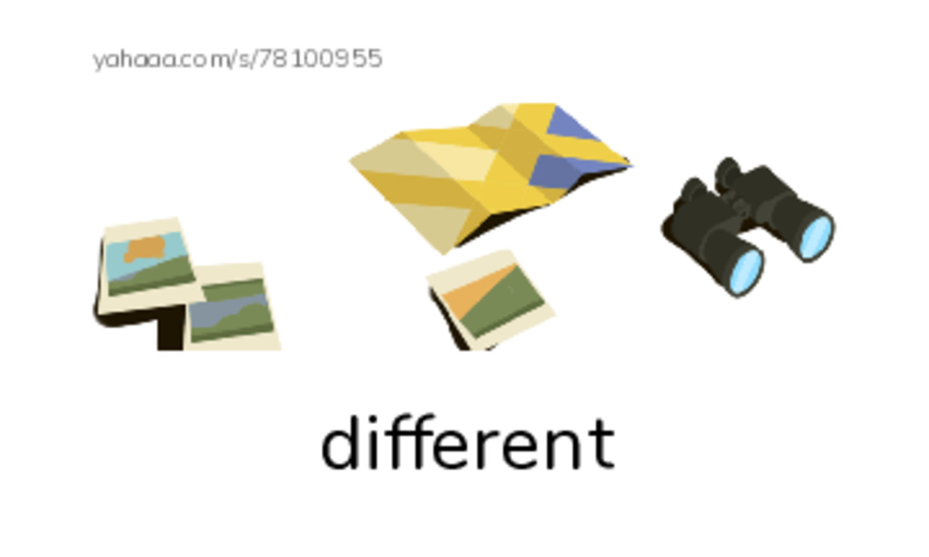 RAZ Vocabulary O: Roadside Oddities1 PDF index cards with images