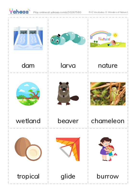 RAZ Vocabulary O: Wonders of Nature1 PDF flaschards with images