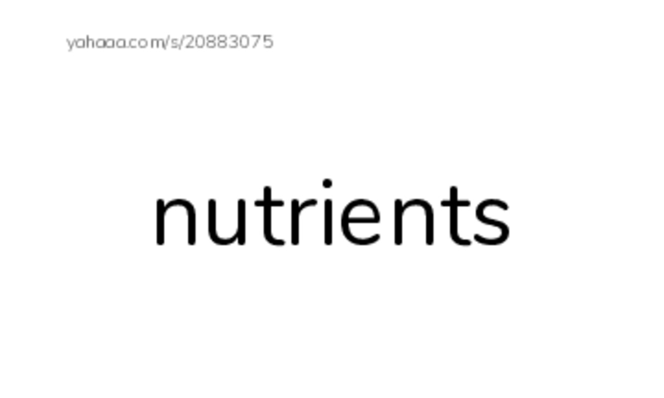 RAZ Vocabulary O: About Trees2 PDF index cards with images