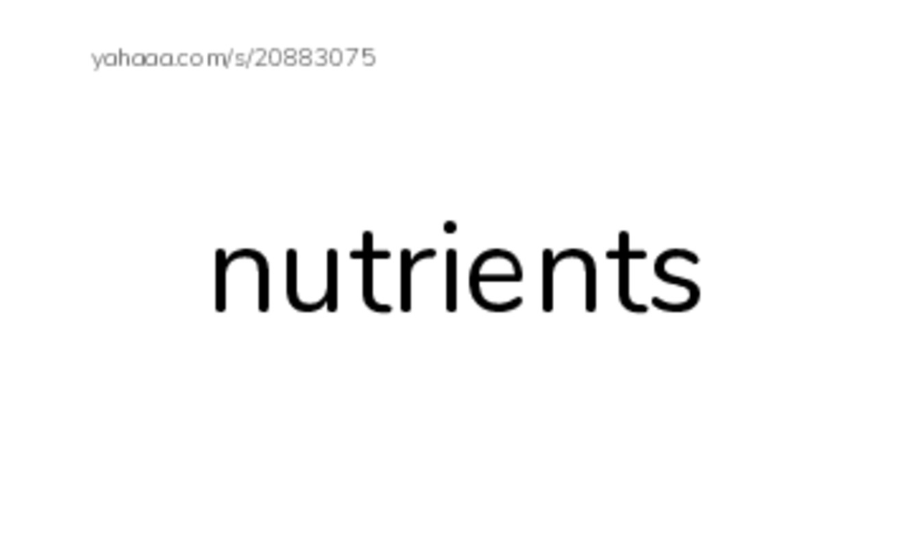 RAZ Vocabulary O: About Trees2 PDF index cards word only