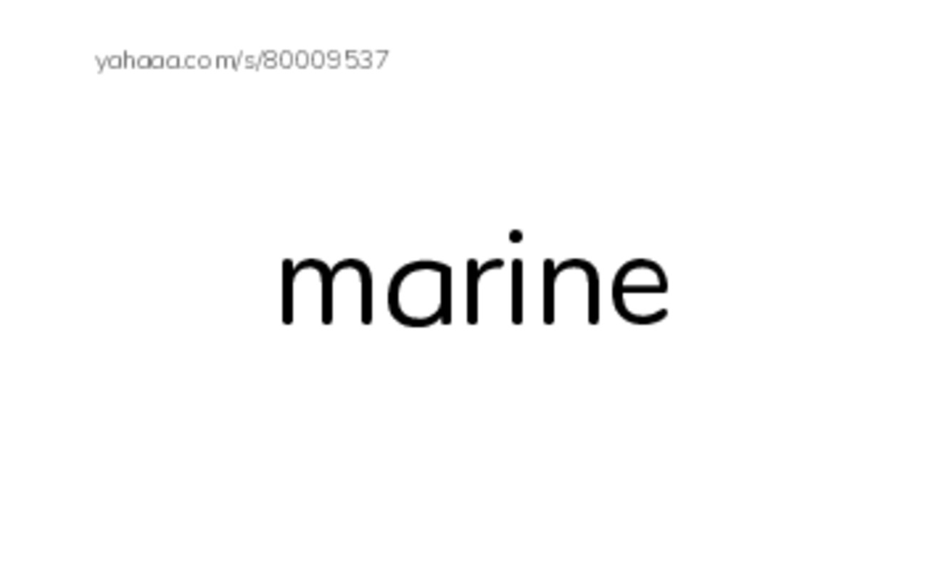 RAZ Vocabulary O: Seals Sea Lions and Walruses PDF index cards word only