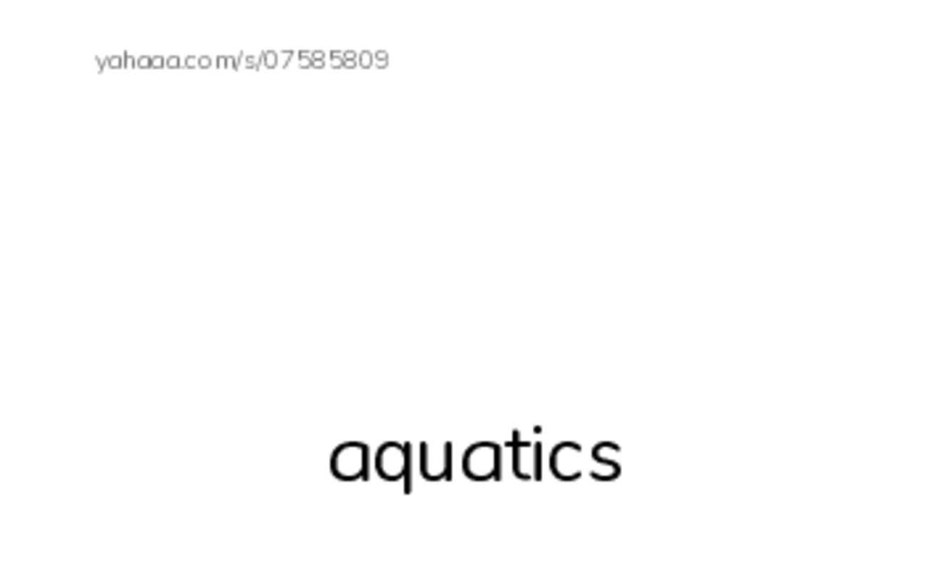 RAZ Vocabulary Q: Mike Van Zee Special Olympian PDF index cards with images