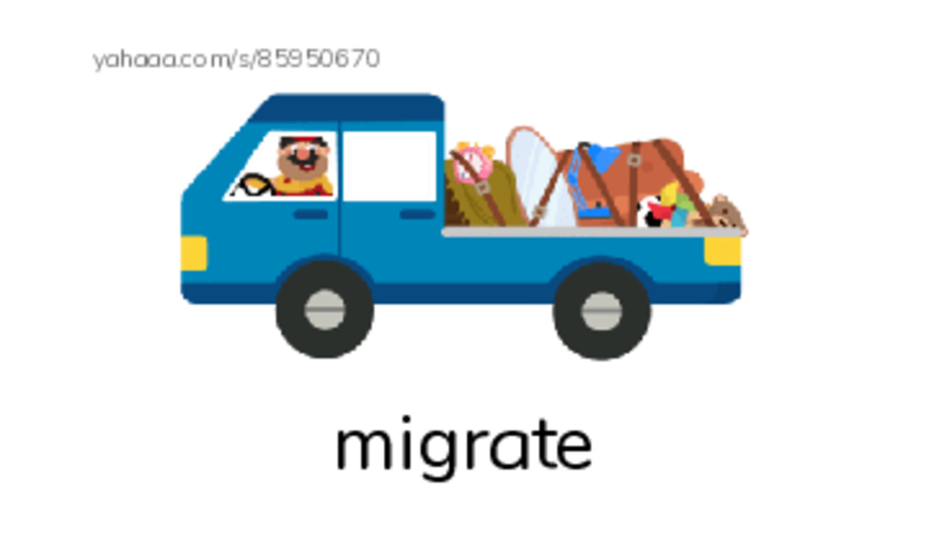 RAZ Vocabulary Q: Plight of the Polar Bear PDF index cards with images
