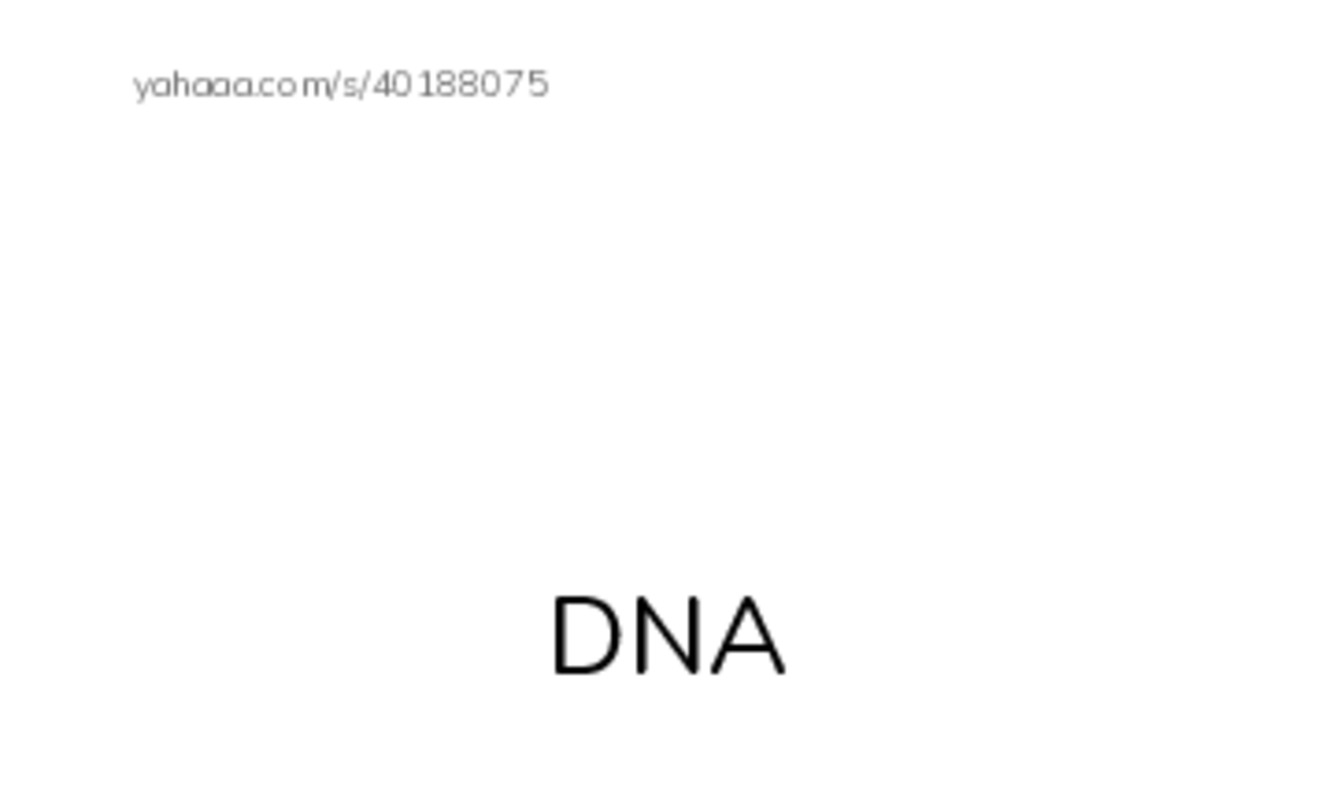RAZ Vocabulary R: Animal Discoveries2 PDF index cards with images