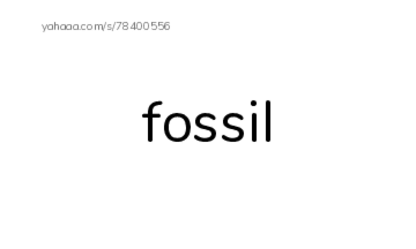 RAZ Vocabulary R: Charlenes Sea of Cortez Journal PDF index cards word only