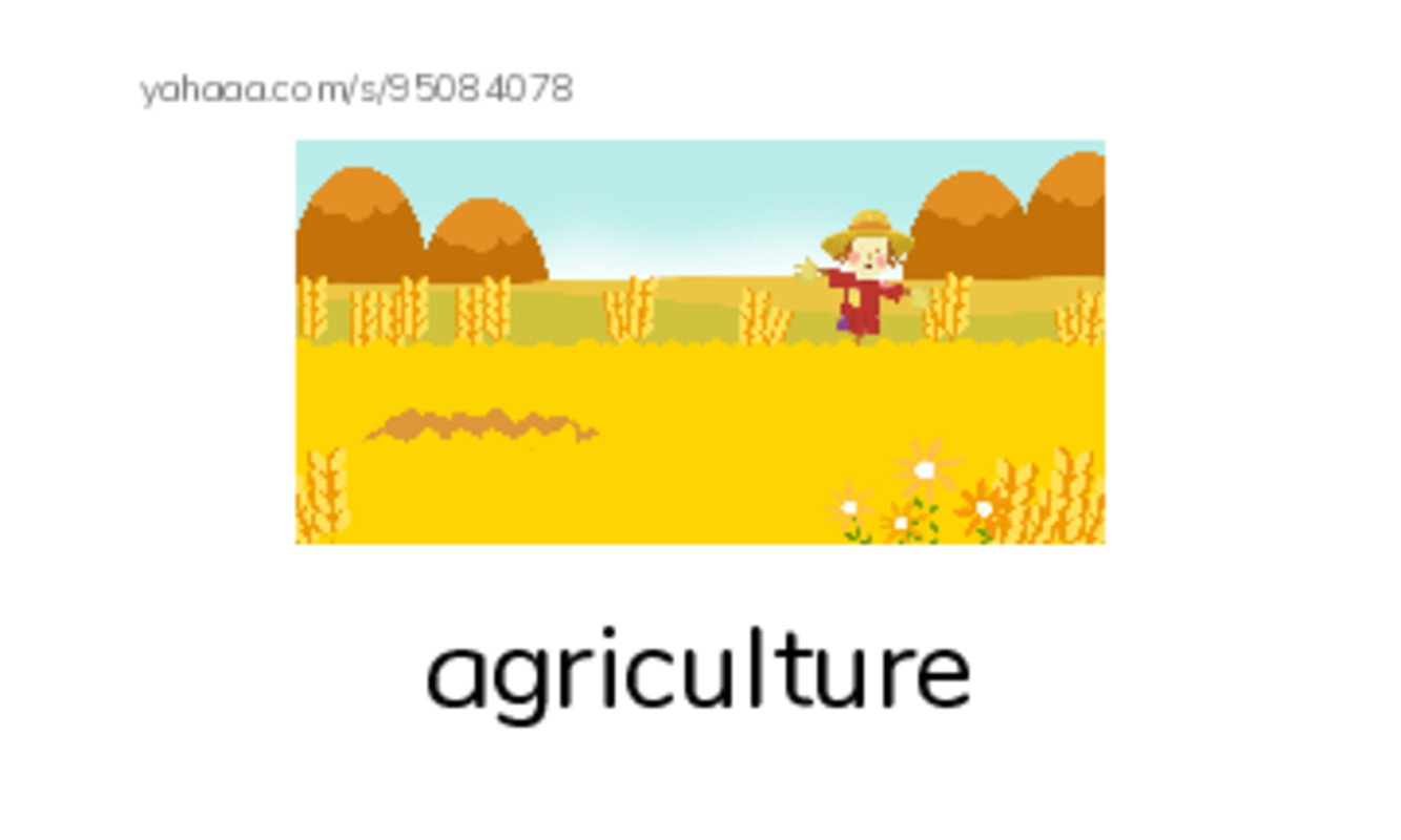 RAZ Vocabulary R: George Washington Carver PDF index cards with images