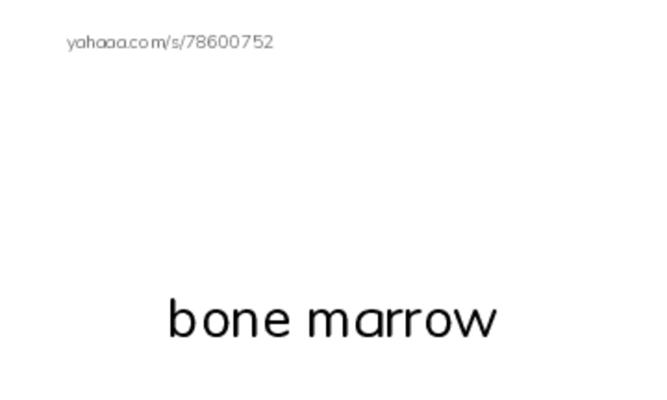 RAZ Vocabulary R: The Hard Stuff All About Bones PDF index cards with images