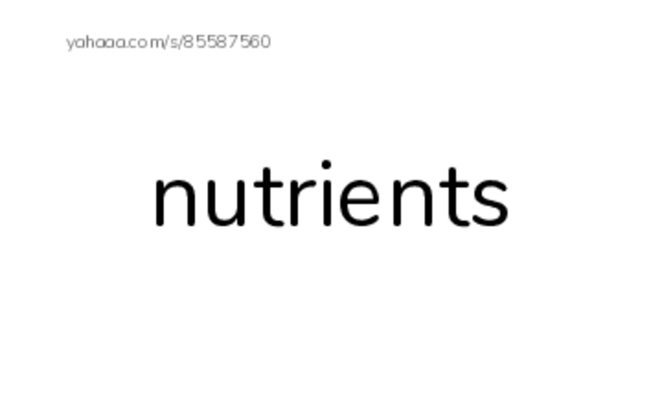 RAZ Vocabulary V: Floods-2 PDF index cards word only
