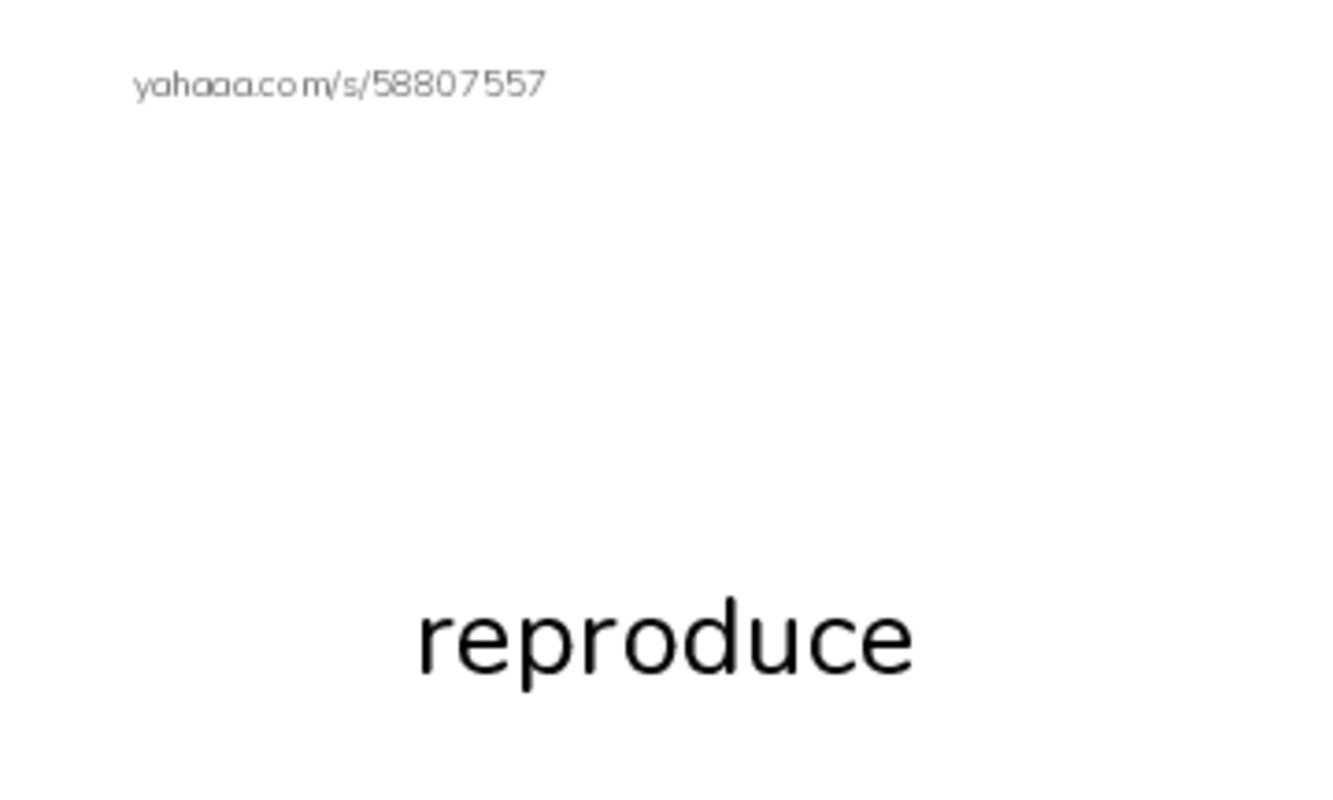 RAZ Vocabulary V: Fungus Among Us2 PDF index cards with images