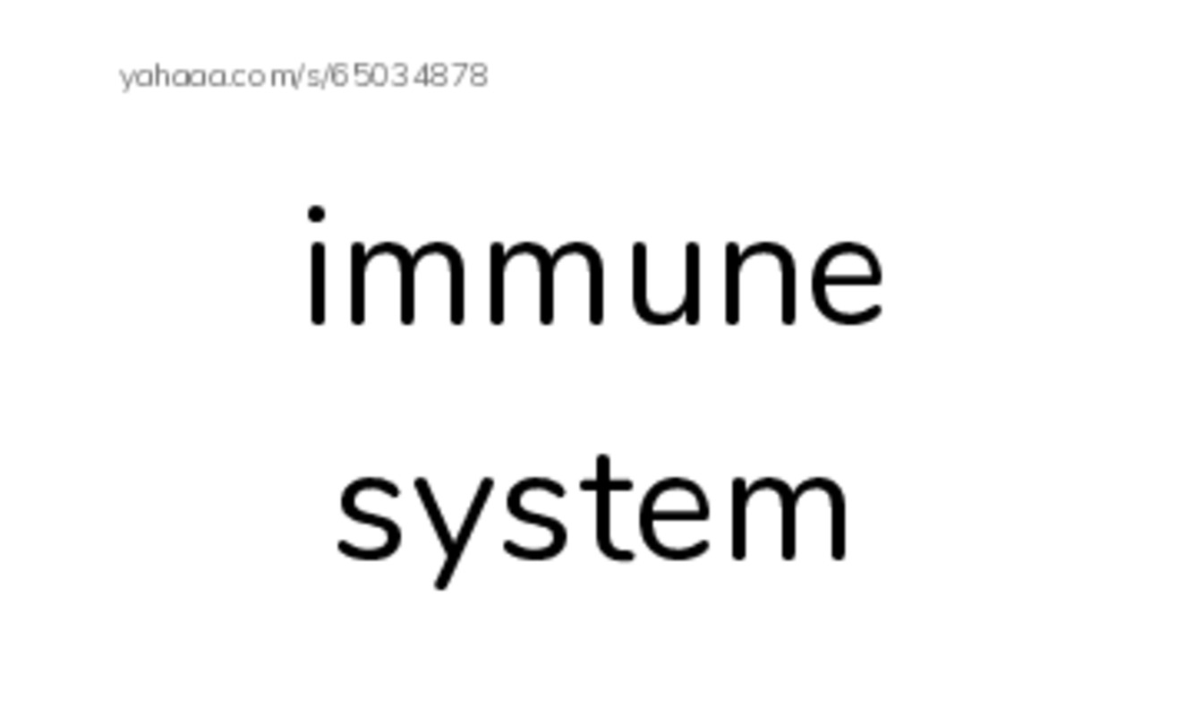 RAZ Vocabulary W: Microbes Friend or Foe PDF index cards with images