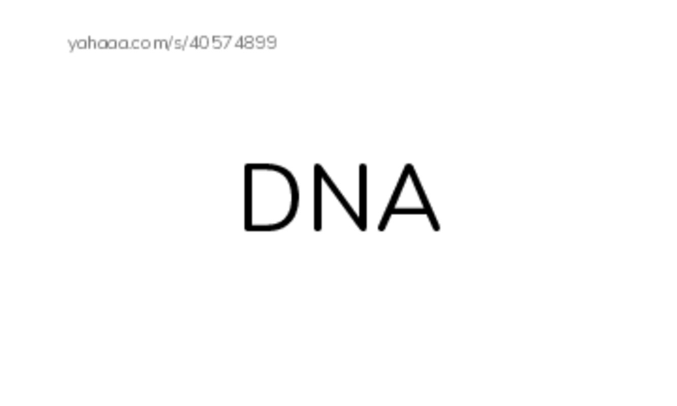 RAZ Vocabulary Y: The Bones of a King PDF index cards word only