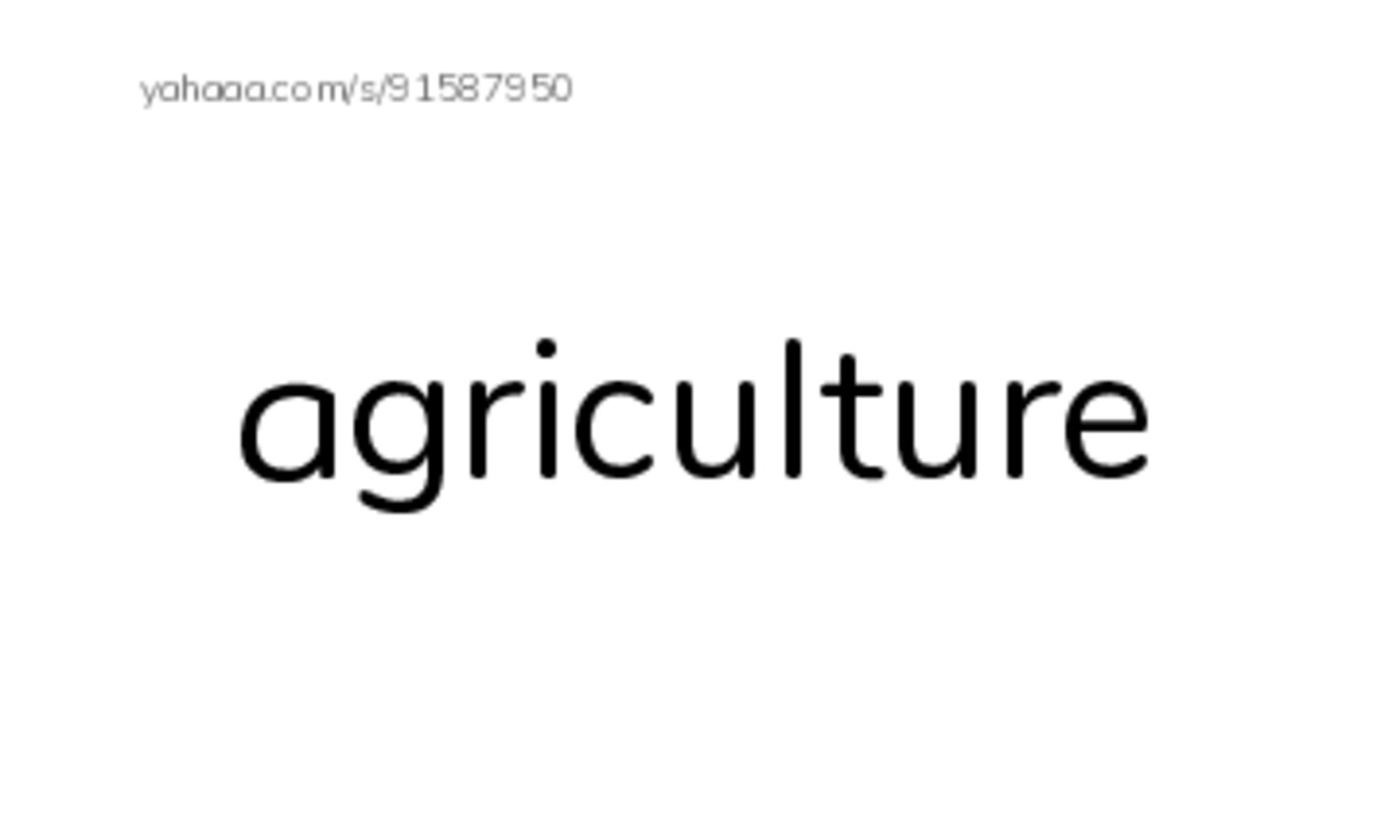 RAZ Vocabulary Z: Are GMOs Safe PDF index cards word only