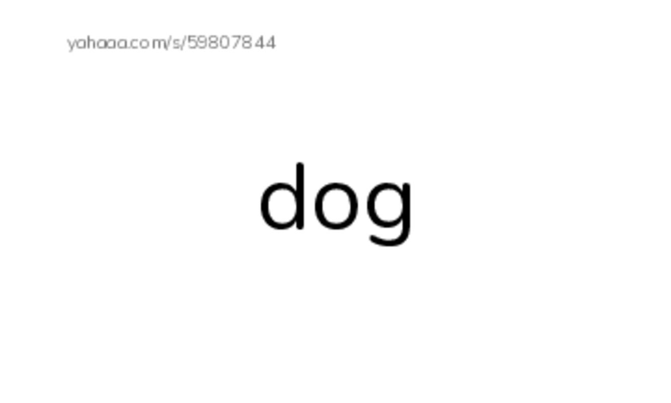 Let's GO 0: Unit 5 Animals PDF index cards word only