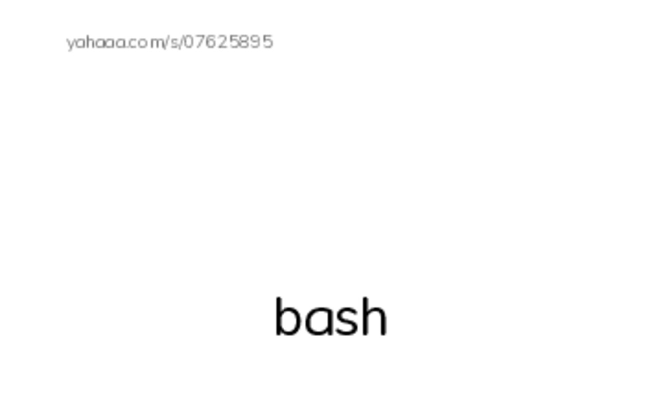 Word Families: ash PDF index cards with images
