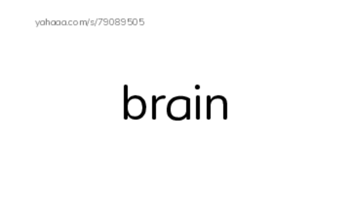 Word Families: ain PDF index cards word only