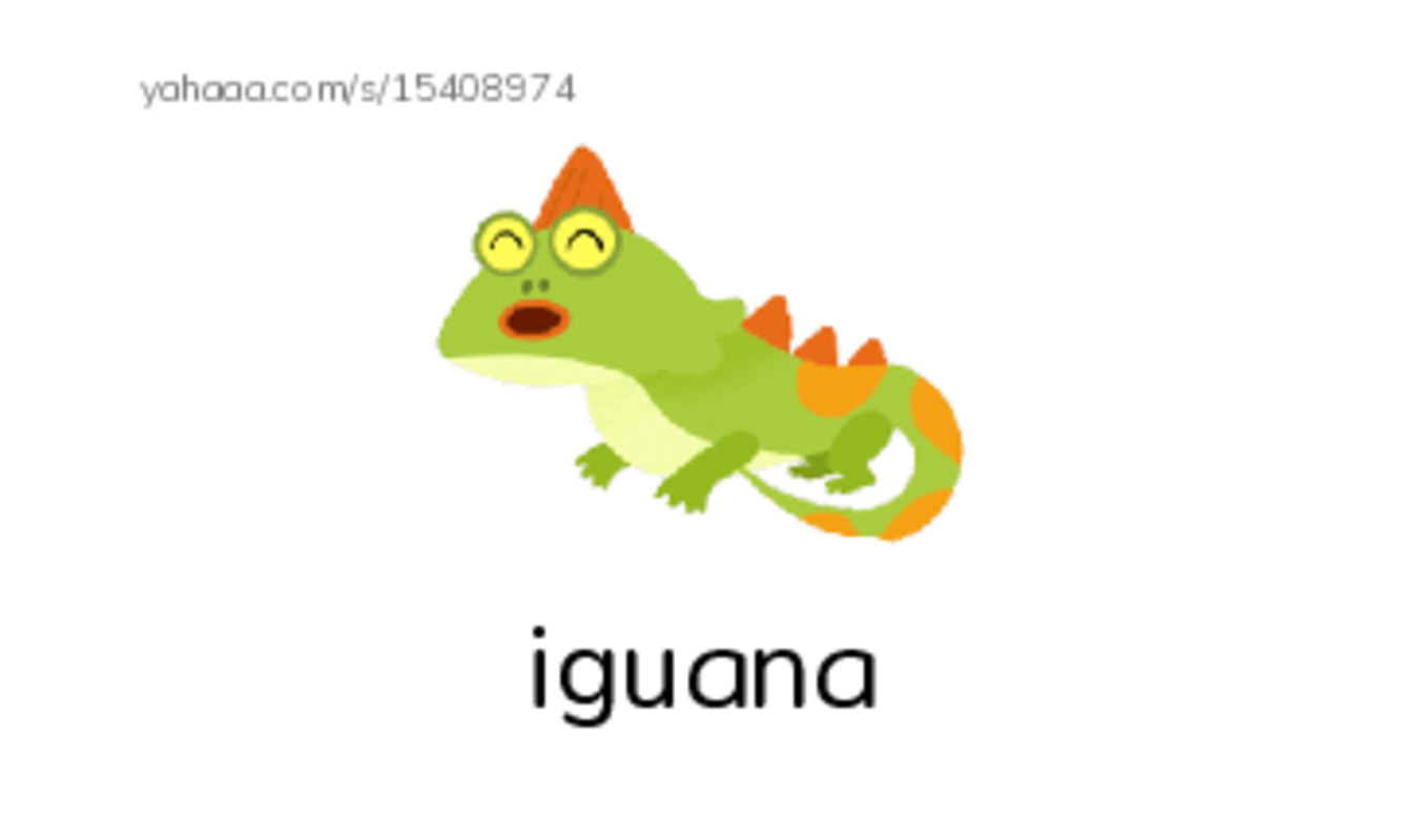 Index cards with pictures worksheet for a b t c i
