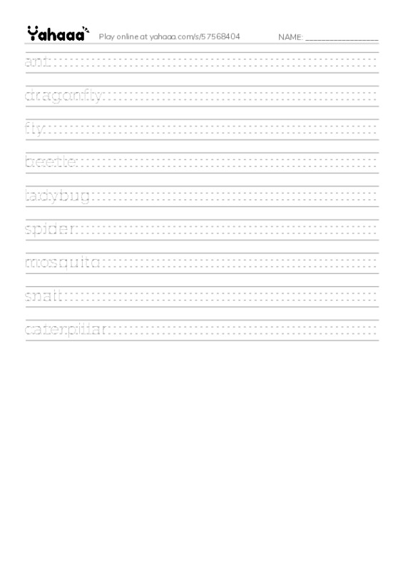 insects PDF write between the lines worksheet