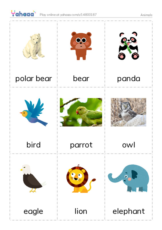 Picture flashcards worksheet for Animals 