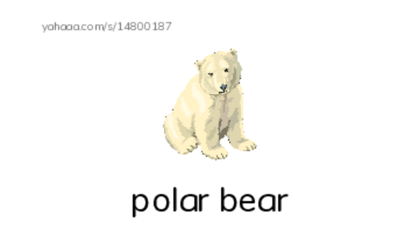 Index cards with pictures worksheet for Animals 