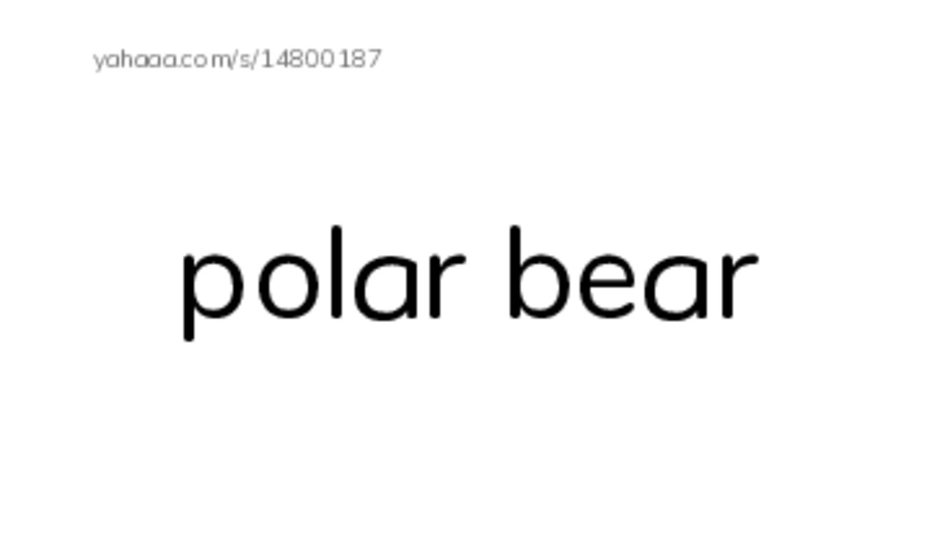 Index cards, words only worksheet for Animals 