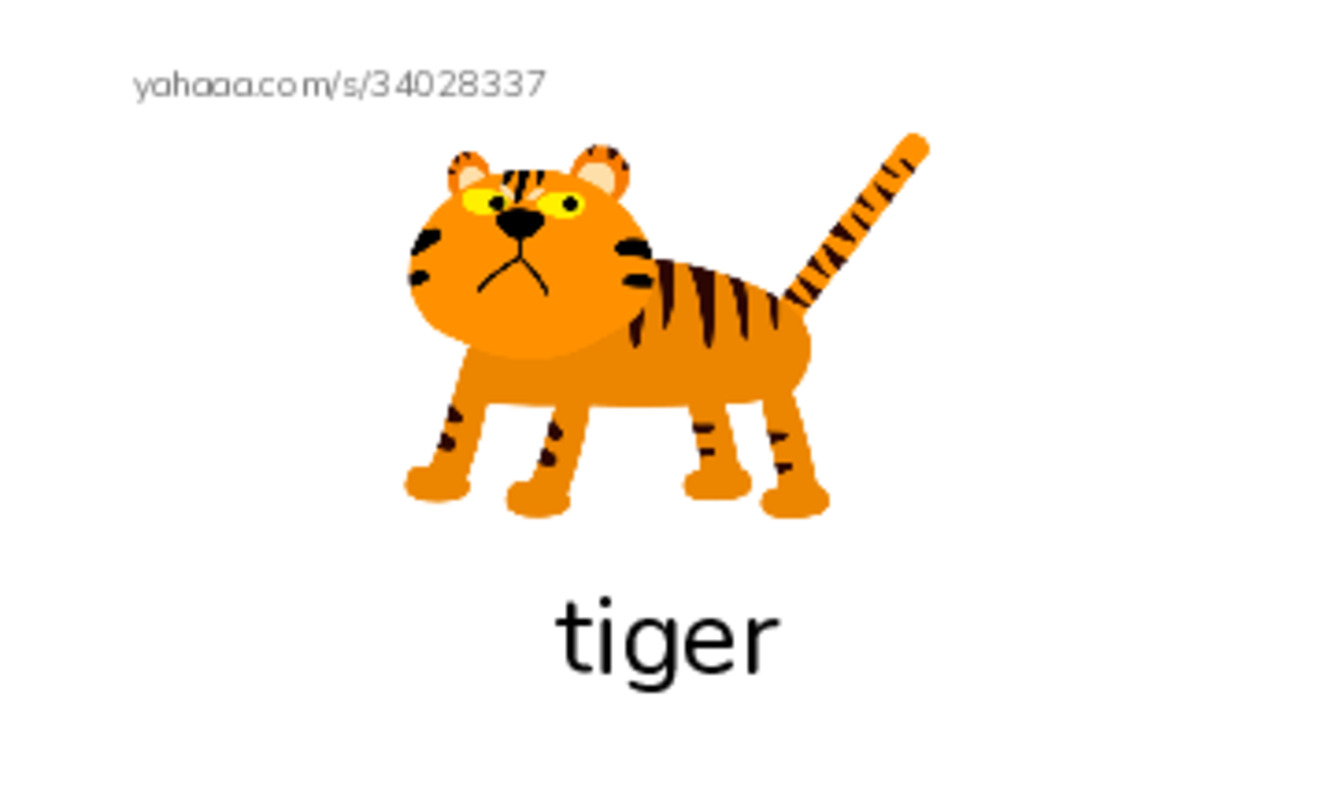 Index cards with pictures worksheet for KB 1 Animals