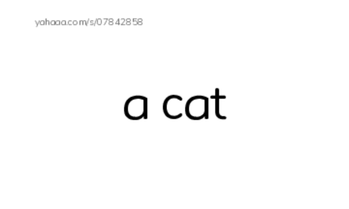 Index cards, words only worksheet for Unit 8: Animals