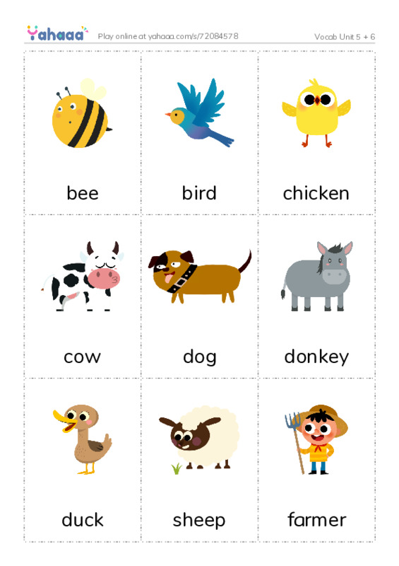 Picture flashcards worksheet for Vocab Unit 5 + 6